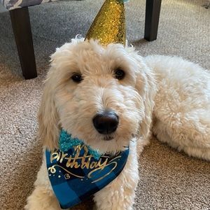 Meet your Posher, Anna